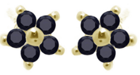 V5194, Earrings Silver 925,  Black Sapphire,  IPGold