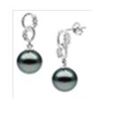 V3339, Earrings Silver,  925 White Zircone,   Black WF Pearl