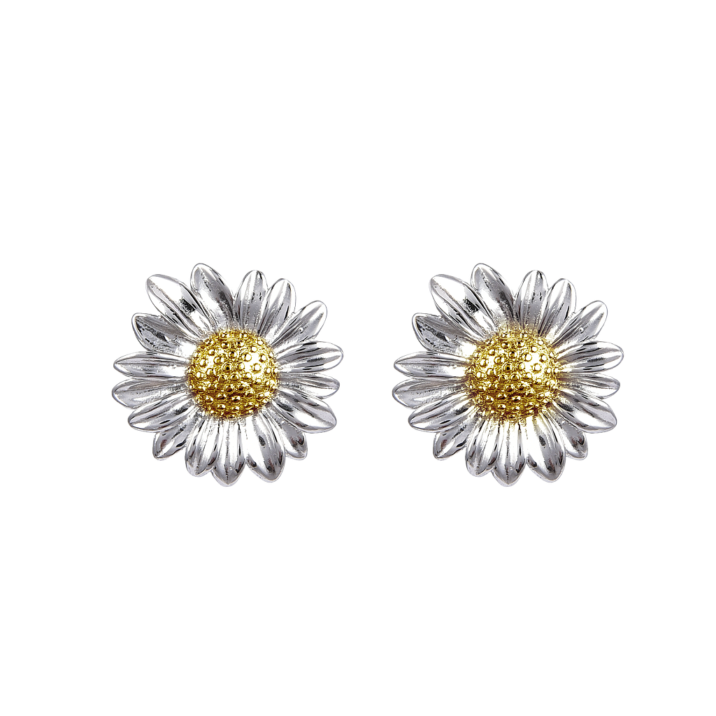 V5843,Earrings,Silver 925,Rhodium Plated,Cubic Zircon