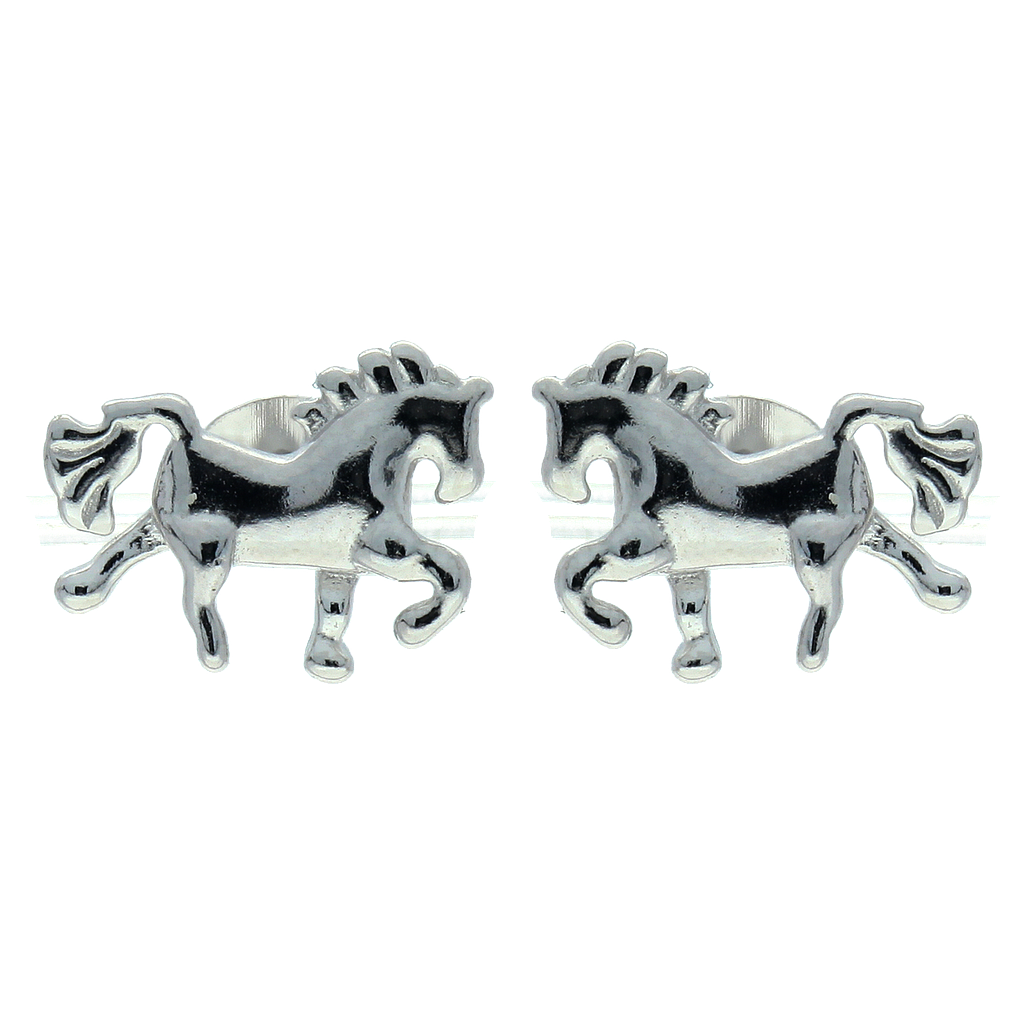 Earrings Silver 925