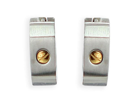 V2152, Earring S. Steel 316L Gold Plated & Zircone,  S. Steel Collection
