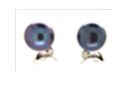 [V2491 Pearl Collection] V2491, Earrings Silver,  925,   Black WF Pearl,   Zircone