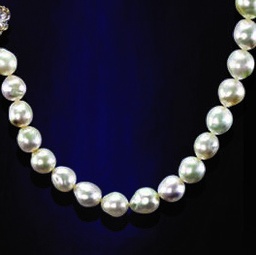 [N4256 Limited Edition] N4256, Necklace Silver 925, South Sea GREY Pearl