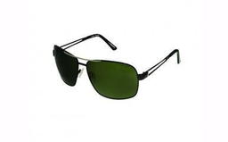 [PP7204 Sunglasses] PP7204, Penelope Sunglasses, Steel,  IPB plated,  Black Temple