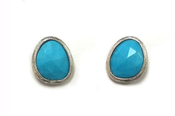 [V4631 Gemstone] V4631, Earrings Silver 925 ,  Natural Stone Turquoise