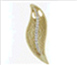 [M1804 Silver & Stones,] M1804, Pendant,  Brown leaf and brown Swarovski